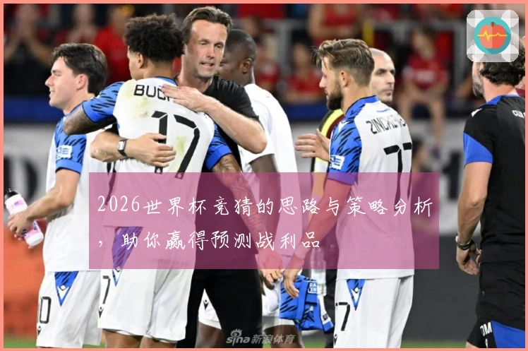 2026世界杯竞猜的思路与策略分析,助你赢得预测战利品