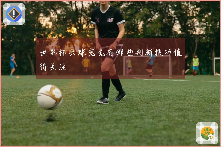 世界杯买球究竟有哪些判断技巧值得关注