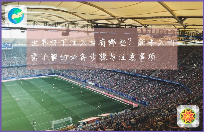世界杯下注入口有哪些？新手入门需了解的必备步骤与注意事项